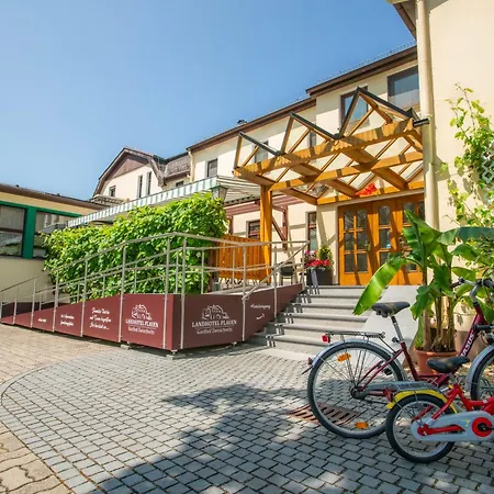 Landhotel Plauen - Gasthof Zwoschwitz-3